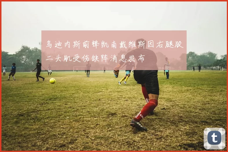乌迪内斯前锋凯南戴维斯因右腿股二头肌受伤缺阵消息发布